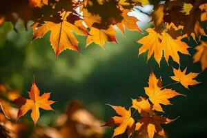 Herbst Blätter sind gezeigt im das Sonnenlicht. KI-generiert foto