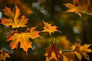 Herbst Blätter, Herbst, Blätter, Blätter, Herbst, Blätter, Herbst, Blätter, Herbst. KI-generiert foto
