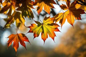 Herbst Blätter sind gezeigt im diese Foto. KI-generiert foto