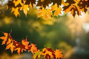 Herbst Blätter sind gezeigt im das Sonne. KI-generiert foto