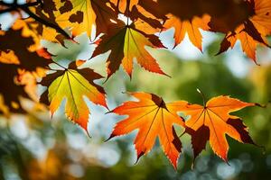 Herbst Blätter auf ein Baum Ast. KI-generiert foto