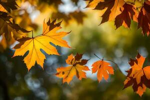 Herbst Blätter sind gezeigt im diese Foto. KI-generiert foto