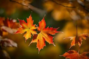 Herbst Blätter, Herbst, Blätter, Herbst, Blätter, Herbst, Blätter, Herbst, Blätter. KI-generiert foto