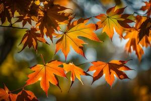 Herbst Blätter sind gezeigt im diese Foto. KI-generiert foto