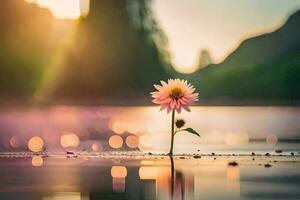 ein Single Blume steht im das Wasser beim Sonnenuntergang. KI-generiert foto