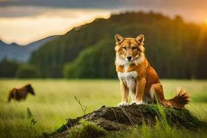 ein Hund Sitzung auf ein Felsen im das Mitte von ein Feld. KI-generiert foto