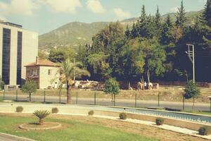 interessant Original Türkisch Straßen und Häuser im das Stadt von Alanya foto