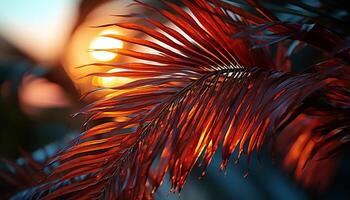 beschwingt Grün Palme Baum Blätter erleuchten das tropisch Wald Hintergrund generiert durch ai foto