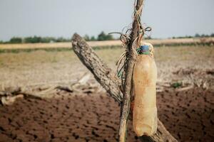 alt von Flasche auf Holz. foto