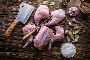 portioniert Hase bereit zum Hitze Behandlung, Grillen oder Backen. foto