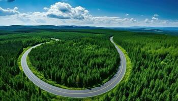 gebogen Straße durch beschwingt Grün Wald ai generiert foto