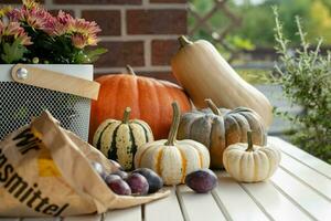 Herbst immer noch Leben mit saisonal Früchte, Gemüse, Blumen und bunt Kürbisse und reif Pflaumen. selektiv Fokus. foto