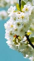 ai generativ Weiß Blumen blühen foto