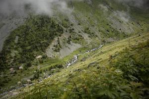 schwarzes meer rize elevit plateau, truthahn, plateaublick foto