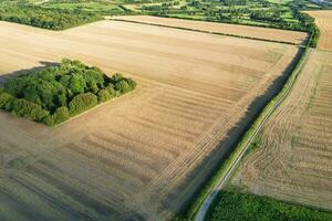 hoch Winkel Aufnahmen von britisch landwirtschaftlich Bauernhöfe beim Landschaft Landschaft in der Nähe Luton Stadt von England großartig Großbritannien von Vereinigtes Königreich. Aufnahmen war gefangen mit Drohnen Kamera auf August 19., 2023 foto