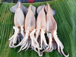 Tintenfische auf Bananenblatt zum Grillen auf dem thailändischen Markt foto