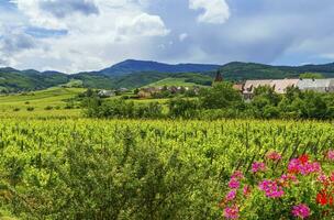 Elsass Landschaft, Frankreich foto