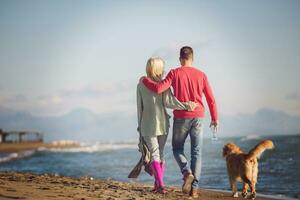 Paar mit Hund, das sich am Herbsttag am Strand amüsiert foto