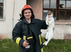 Nahansicht Porträt von heroisch Feuerwehrmann im schützend passen und rot Helm hält Gerettet Katze im seine Waffen. Feuerwehrmann im Feuer Kampf Betrieb. foto