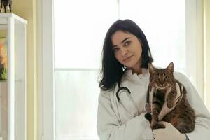 Veterinär Klinik. Porträt der Ärztin in der Tierklinik mit süßer kranker Katze foto