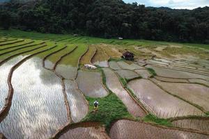 Reisfelder vor dem Pflanzen von oben