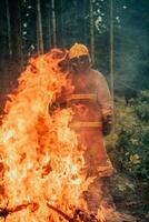 Feuerwehrmann beim Arbeit. Feuerwehrmann im gefährlich Wald Bereiche umgeben durch stark Feuer. Konzept von das Arbeit von das Feuer Bedienung foto