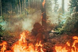 modern Krieg Soldat umgeben durch Feuer, Kampf im dicht und gefährlich Wald Bereiche foto