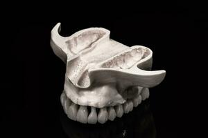 niedriger Mensch Kiefer mit Zähne Anatomie Modell- isoliert auf schwarz Hintergrund. gesund Zähne, Dental Pflege und kieferorthopädisch medizinisch Konzept. foto