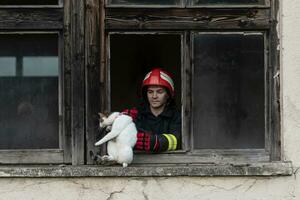 Feuerwehrmann Held Tragen Baby Mädchen aus von Verbrennung Gebäude Bereich von Feuer Vorfall. Rettung Menschen von gefährlich Platz foto