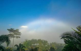 Naturphänomen. Nebelbogen oder weißer Regenbogen tritt über dem Nebel auf.