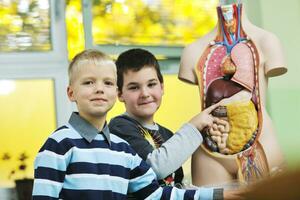 Biologie in der Schule lernen foto