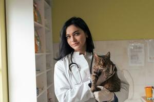 Veterinär Klinik. Porträt der Ärztin in der Tierklinik mit süßer kranker Katze foto