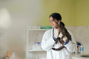 Veterinär Klinik. Porträt der Ärztin in der Tierklinik mit süßer kranker Katze foto