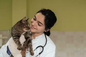 Veterinär Klinik. Porträt der Ärztin in der Tierklinik mit süßer kranker Katze foto