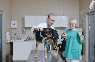 Tierarzt und Assistent in einer Kleintierklinik foto