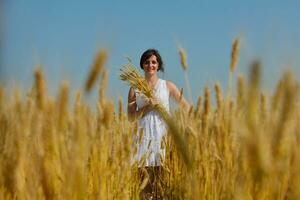 junge Frau im Weizenfeld im Sommer foto