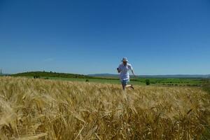 junge Frau im Weizenfeld im Sommer foto