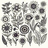 schwarz und Weiß Zeichnungen von Blumen und Pflanzen, Hand Zeichnungen foto