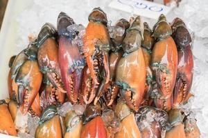 frische schwarze Krabben auf dem Markt foto