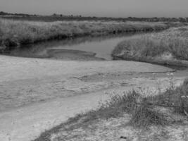 langeoog insel in der nordsee foto