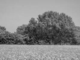 Sommerzeit in Westfalen foto