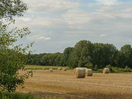 Sommer- Zeit im das Deutschland Westfalen foto