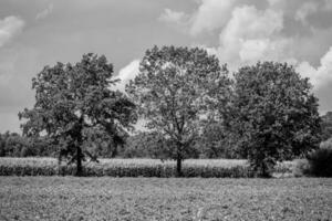 Sommerzeit in Westfalen foto