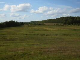 schön Landschaft von Grün Wiese mit Wald und Blau Himmel mit fliegend Wolken foto