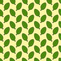 Grün Blätter nahtlos Muster. Hand gezeichnet Hintergrund. foto