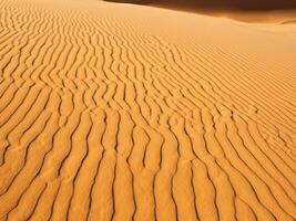 Sand Dünen von das Wüste foto