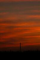 Atmosphäre von das Abend Himmel wie das Sonne setzt, das Himmel ist Rot, sieht aus unheimlich aber warm, romantisch Atmosphäre im das Landschaft von Thailand. foto