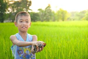 asiatisch jung Junge Stehen halten ein Muschel im Hand auf Reis Feld und Sonnenaufgang Hintergrund ,Junge Lächeln und charmant, Lebensstil von asiatisch Kinder, Konzept von Leben und Nachhaltigkeit, Umwelt und Landwirtschaft. foto