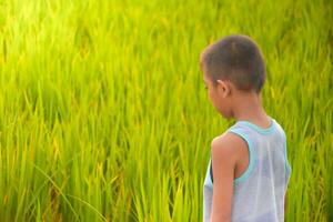 asiatisch jung Junge Stehen und suchen beim Reis Feld auf Wiese und Sonnenaufgang Hintergrund ,Junge Lächeln und charmant, Lebensstil von asiatisch Kinder, Konzept von Leben und Nachhaltigkeit, Umwelt und Landwirtschaft. foto