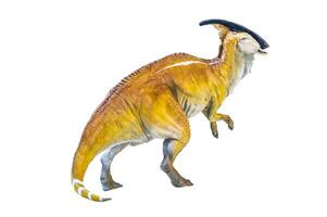 Parasaurolophus Dinosaurier isoliert Hintergrund foto